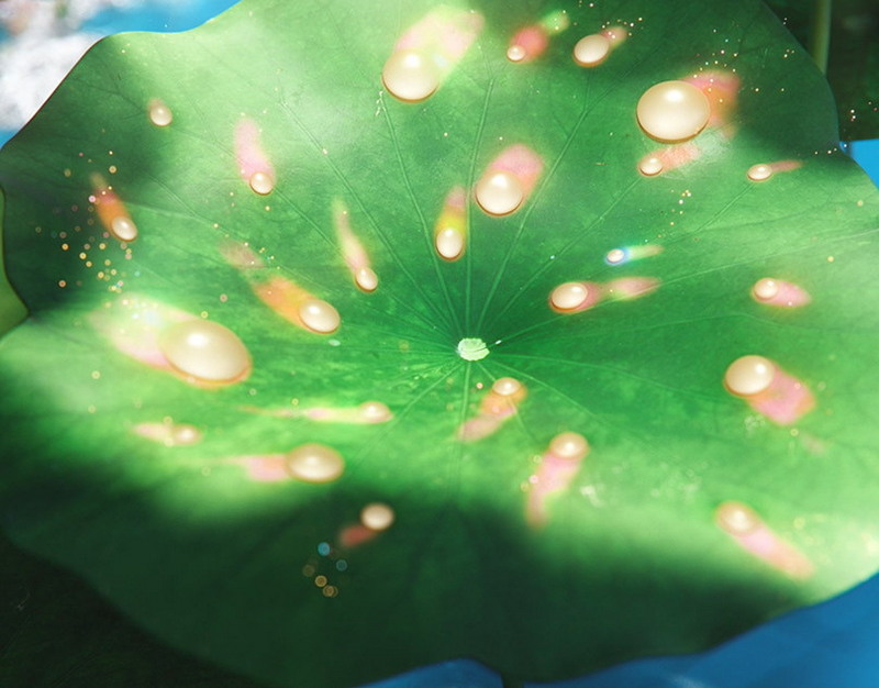 Володин анонсировал новые законы в сфере миграционного контроля